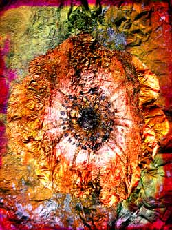 2020-02-24  Anemone 02 60x80cm Tinte auf Hahnemühlepapier